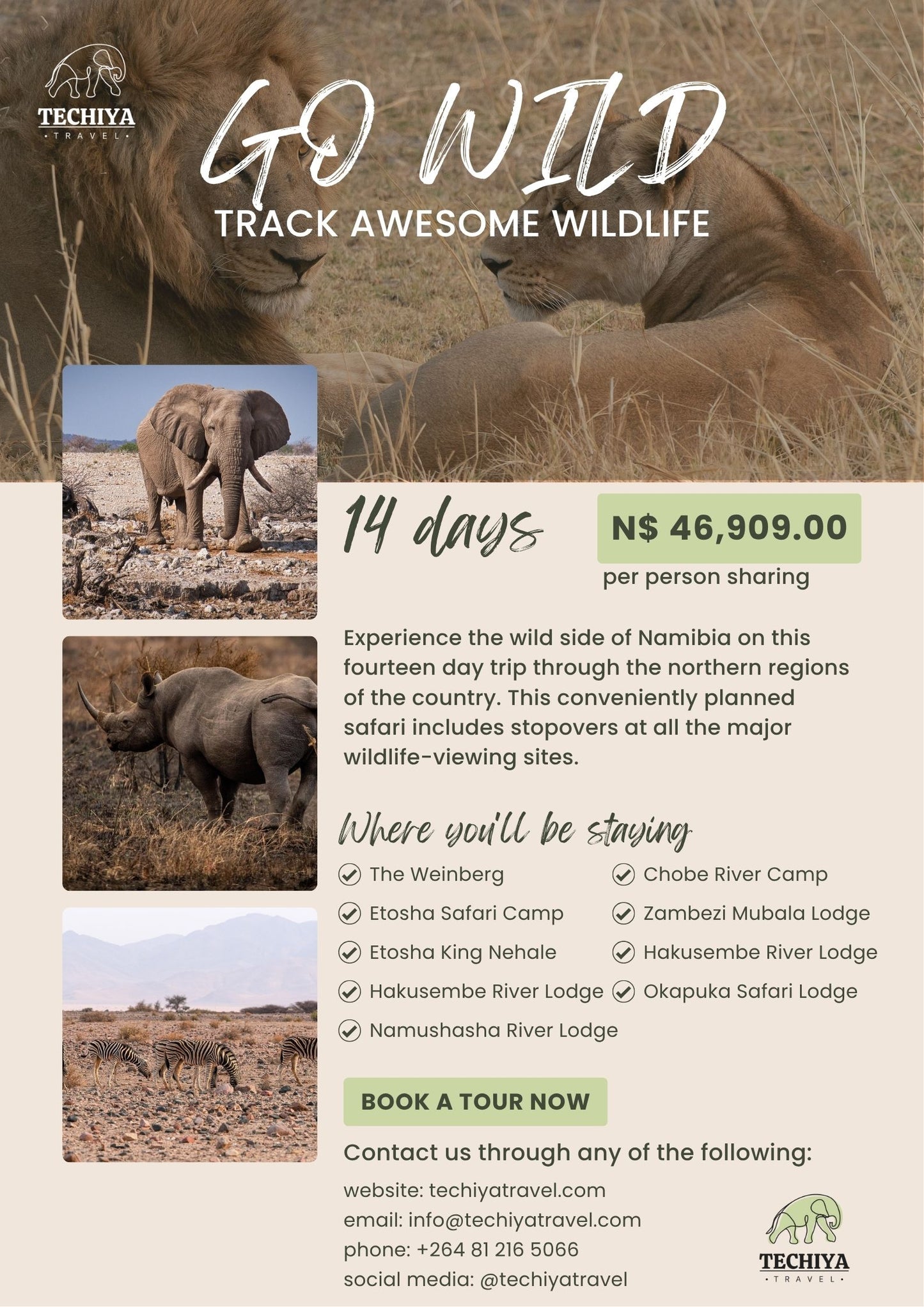 GO WILD (SELF-DRIVE) - TRACK AWESOME WILDLIFE