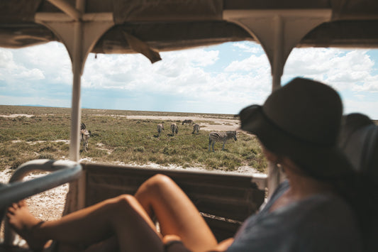 Etosha's Symphony of Wildlife: A Safari Beyond Imagination