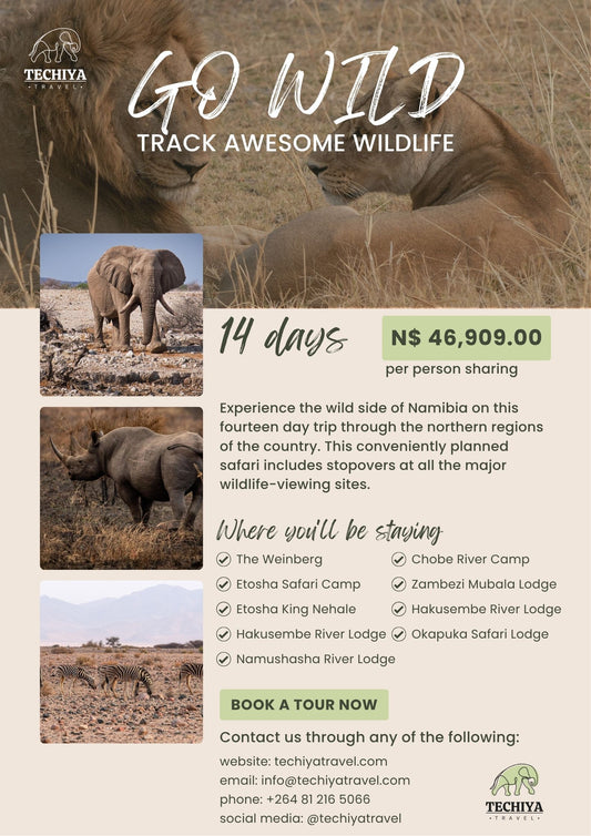 GO WILD (SELF-DRIVE) - TRACK AWESOME WILDLIFE