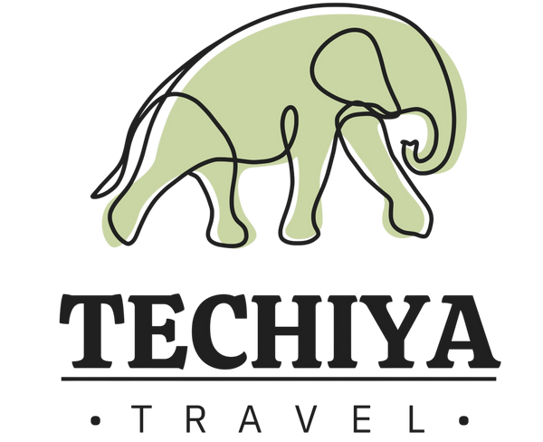 Techiya Travel