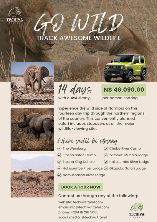 GO WILD (SELF-DRIVE) - TRACK AWESOME WILDLIFE