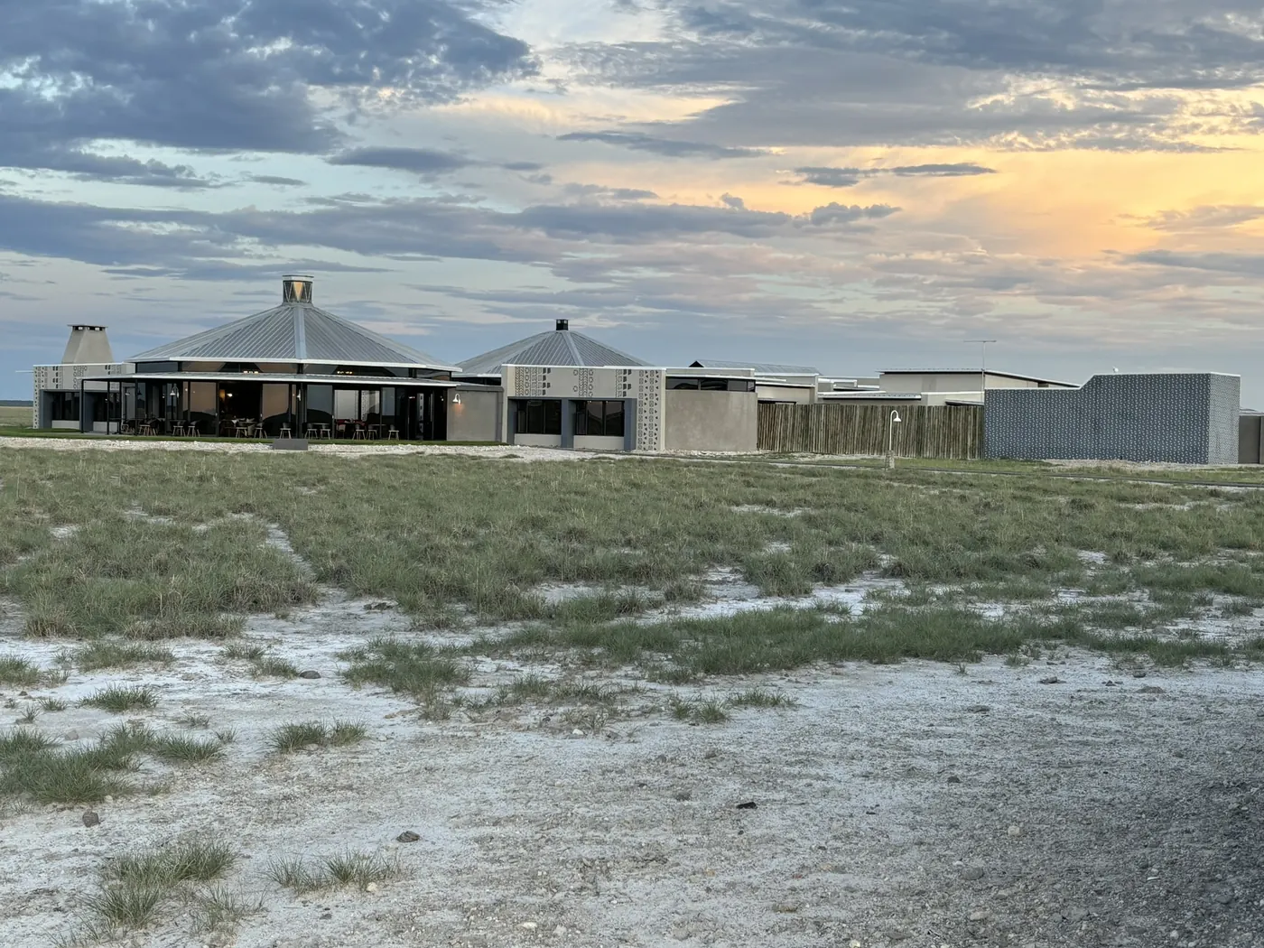 Etosha King Nehale - Gondwana Collection