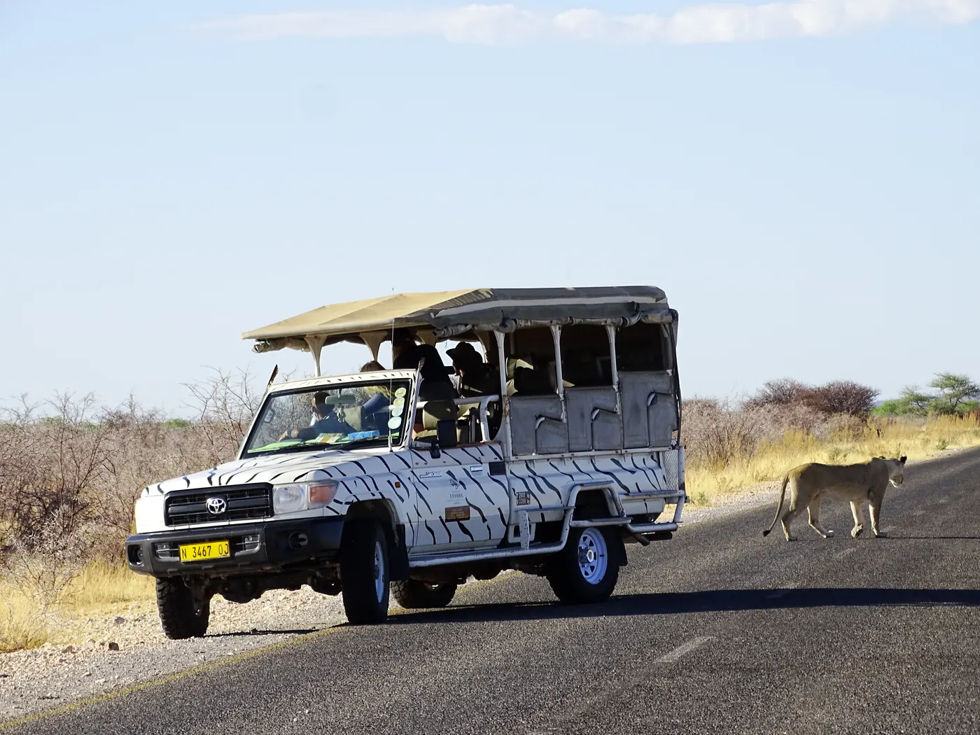 Etosha Safari Camp - Gondwana Collection