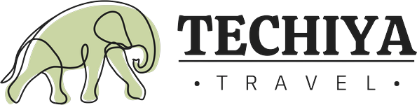 Techiya Travel