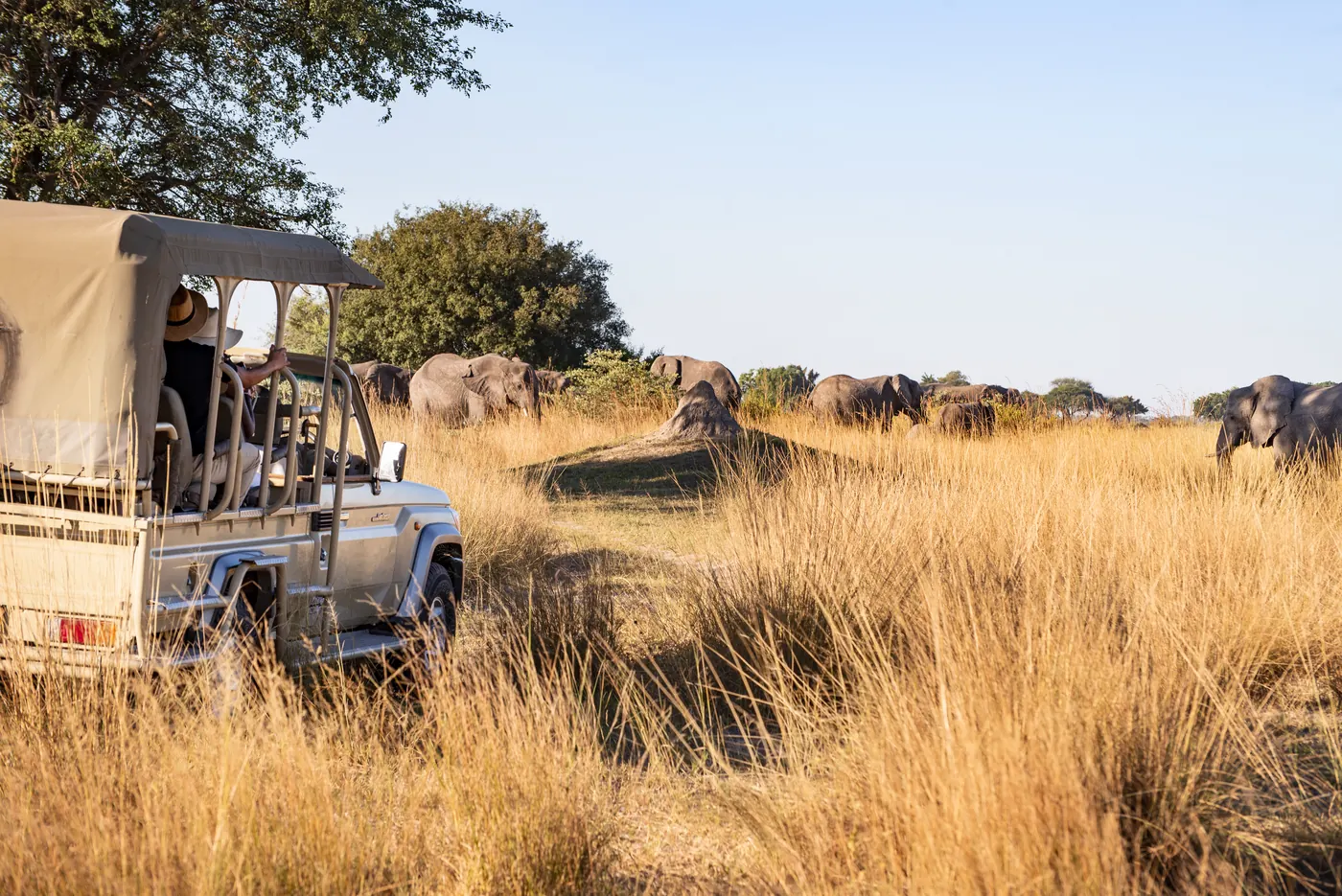 Namushasha River Lodge - Gondwana Collection