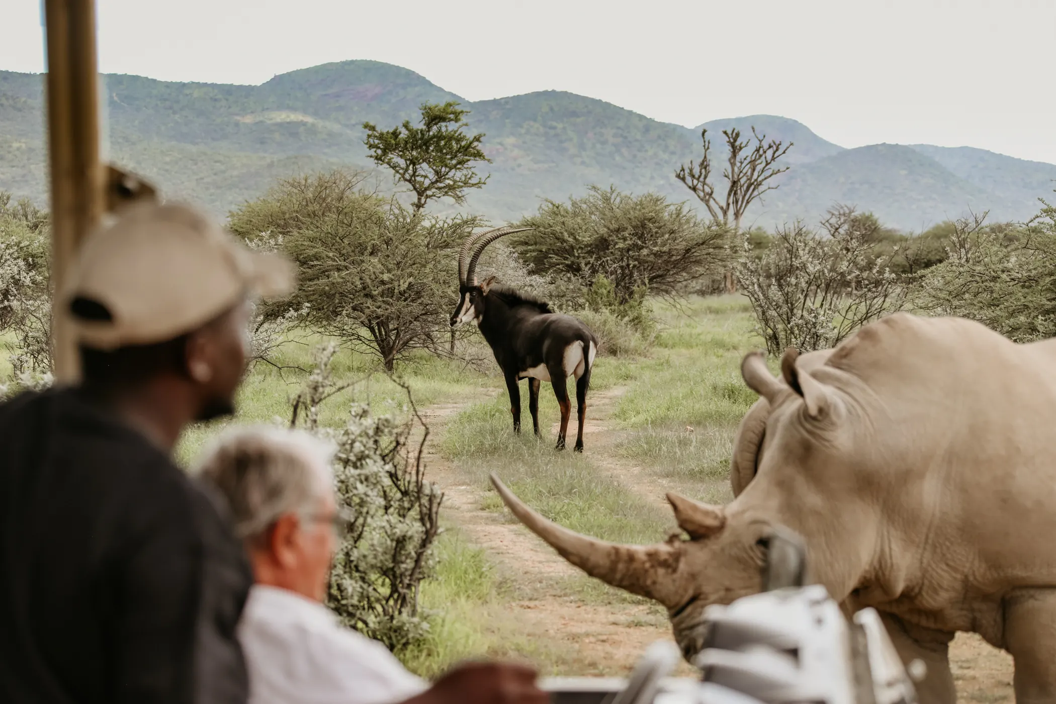 Okapuka Safari Lodge - Gondwana Collection